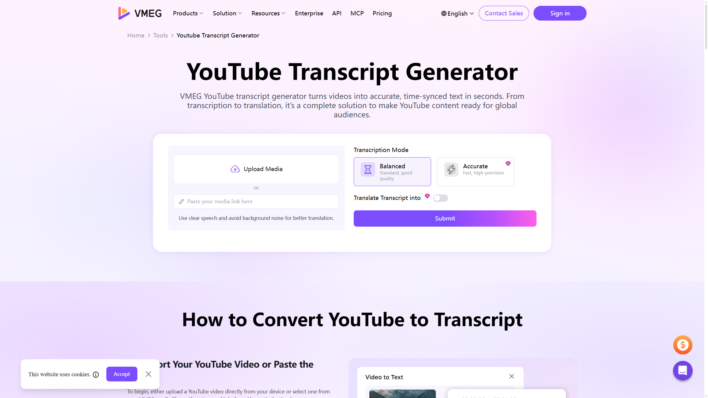 VMEG YouTube Transcript Generator