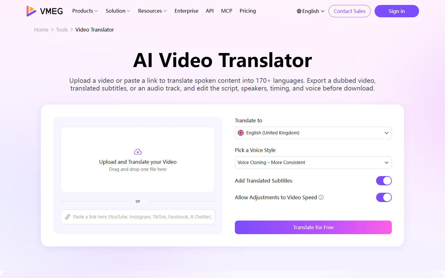 VMEG AI video translator