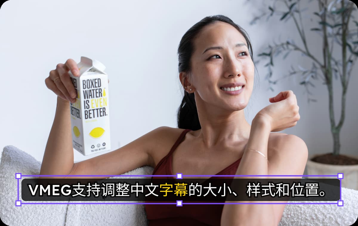 免费的中文字体和字幕样式，还支持双语字幕