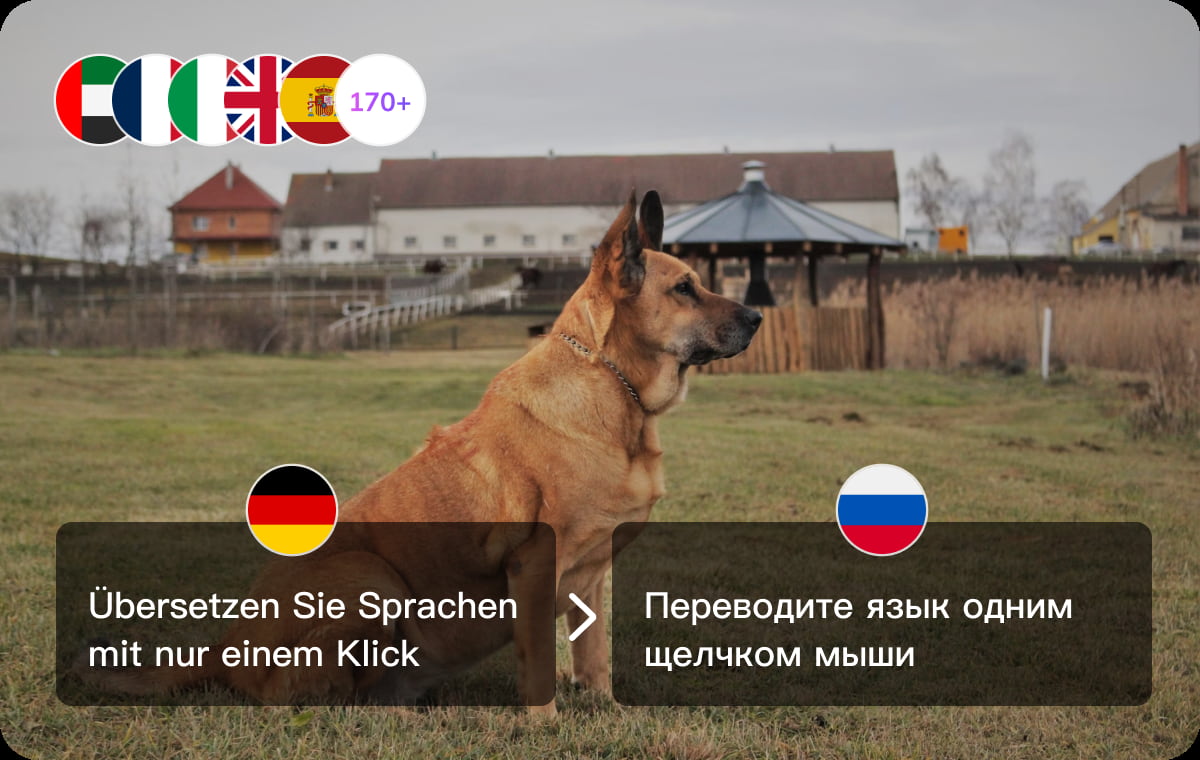 Über Deutsch–Russisch hinaus – umfassende Sprachvielfalt