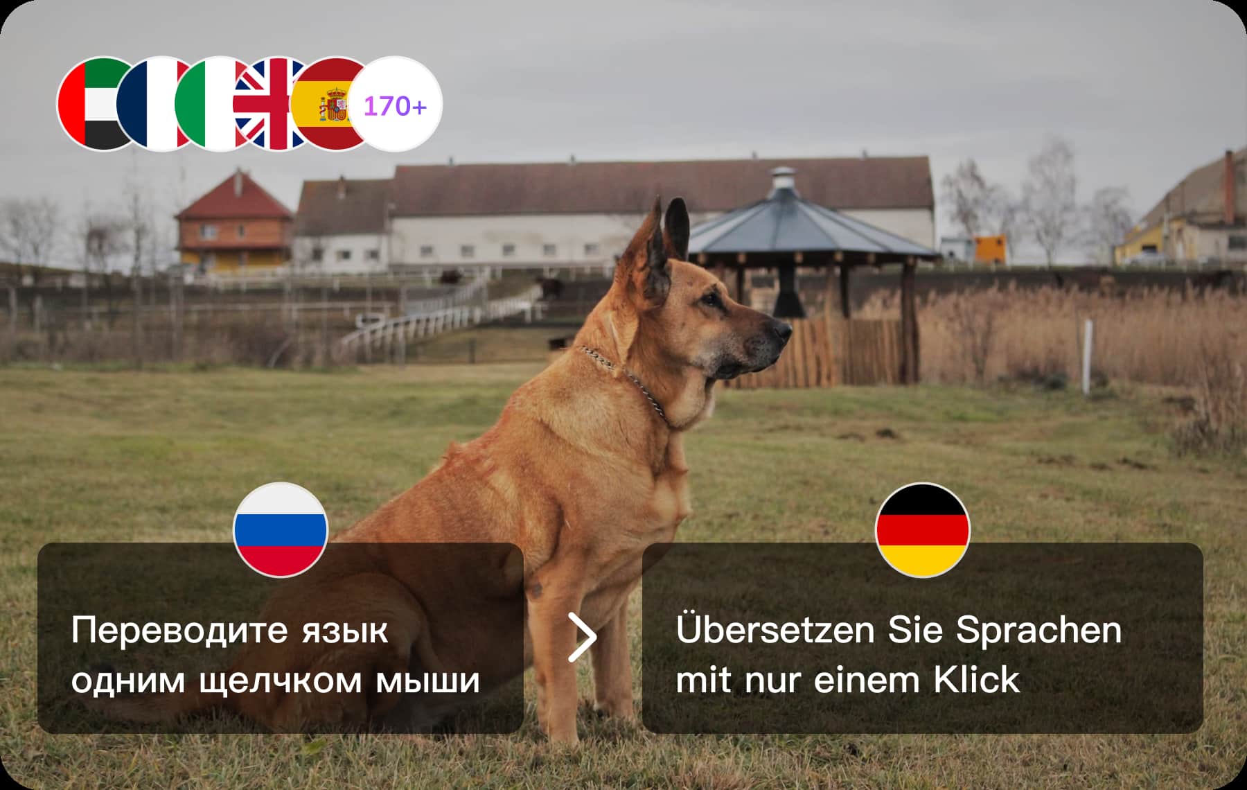 Präzise Ergebnisse mit dem Russisch Deutsch Übersetzer - mit Ton