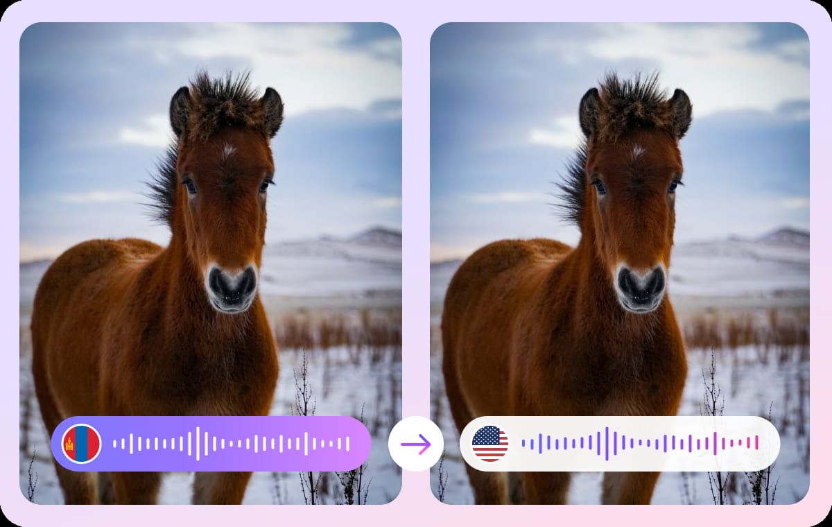 Accurate Bulgarian to English Voice Translation