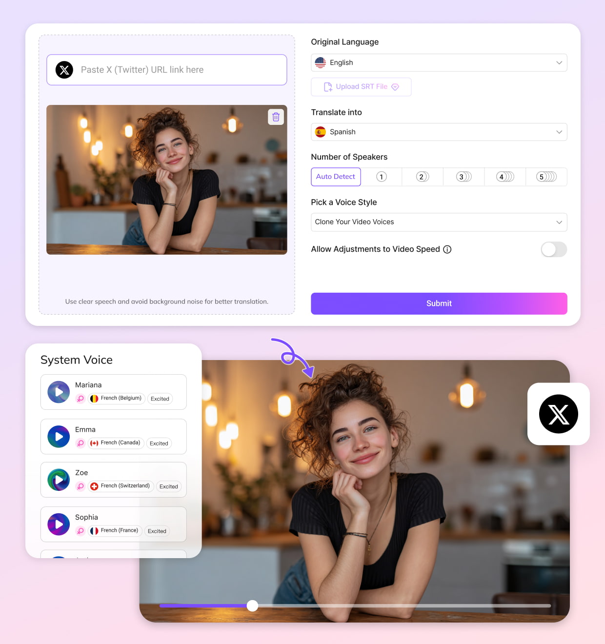 How to Translate Twitter Videos Online with VMEG
