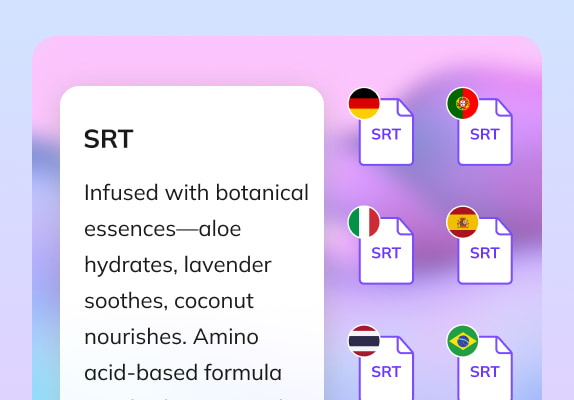 SRT Translator