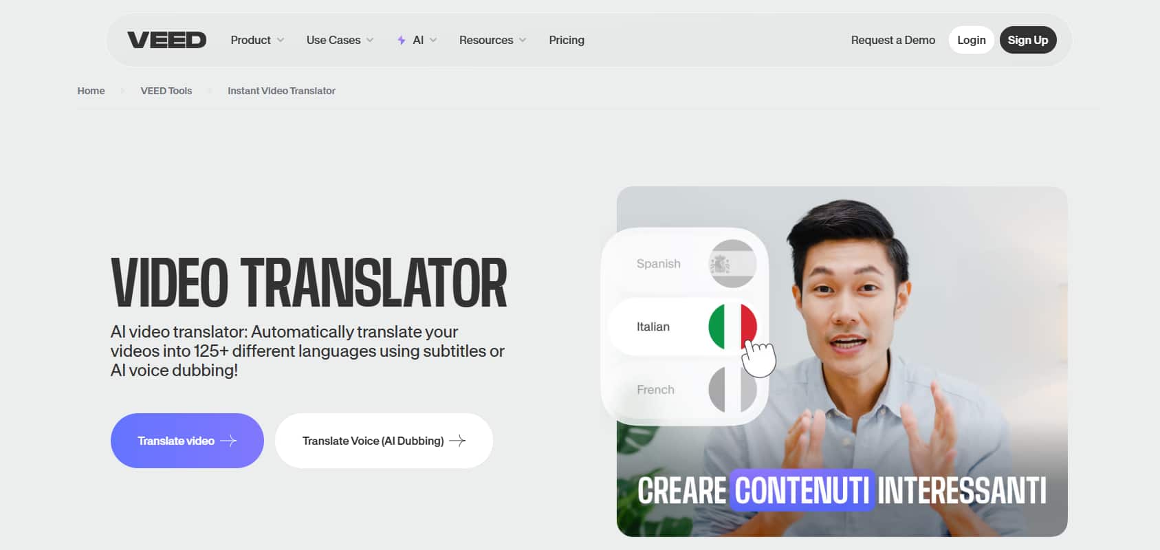 Best AI Video Translator - VEED