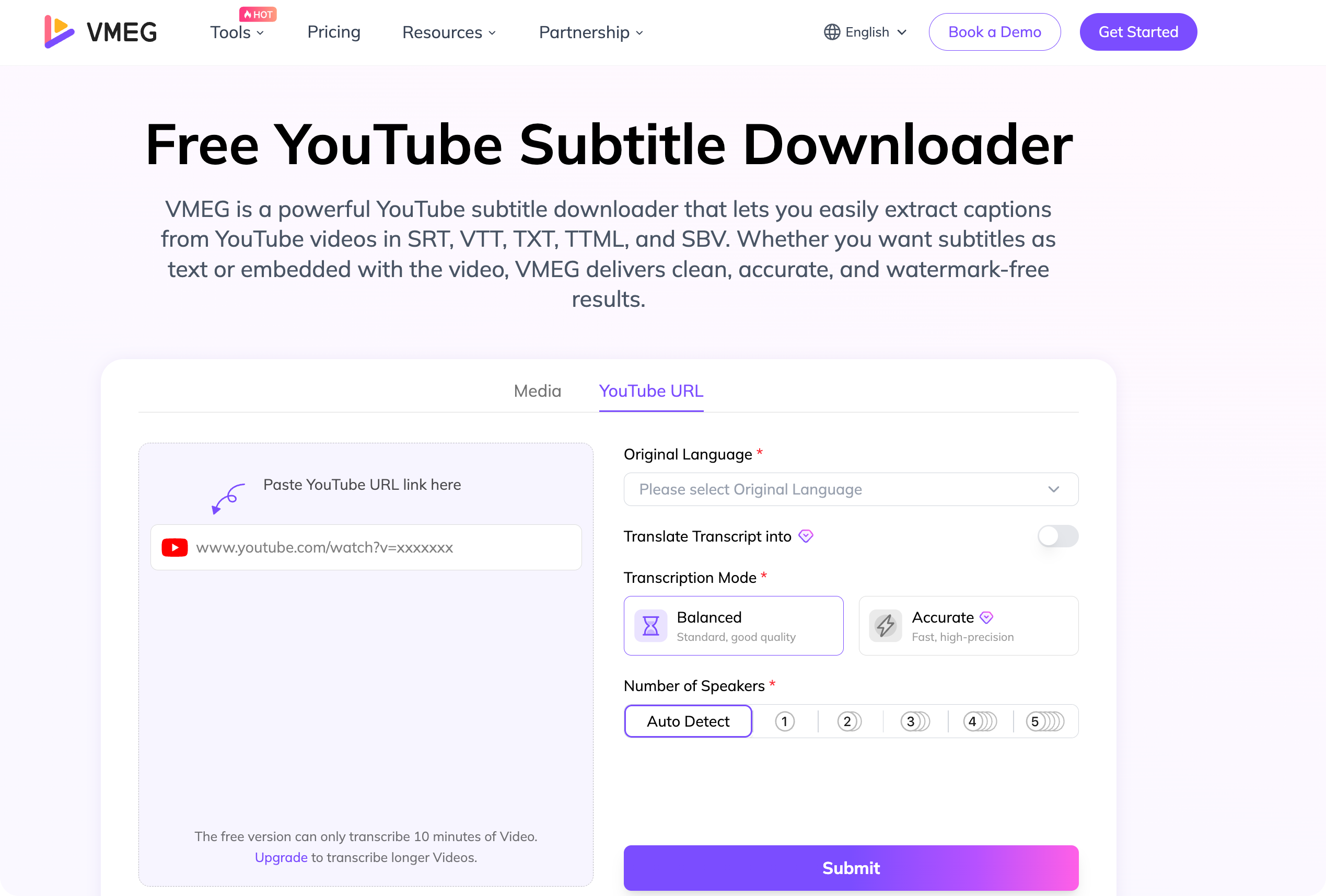 youtube subtitle downloader
