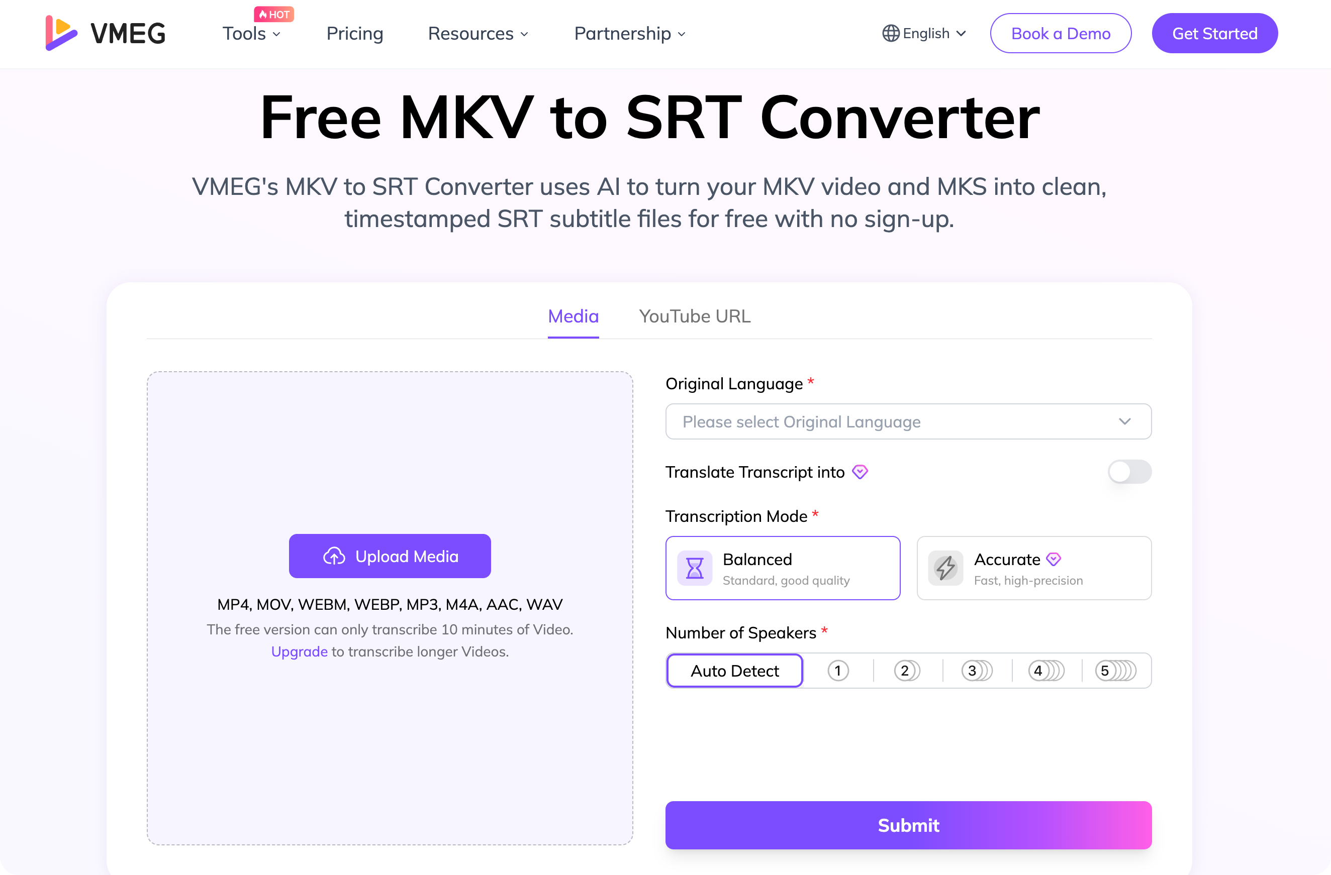 vmeg mkv to srt converter
