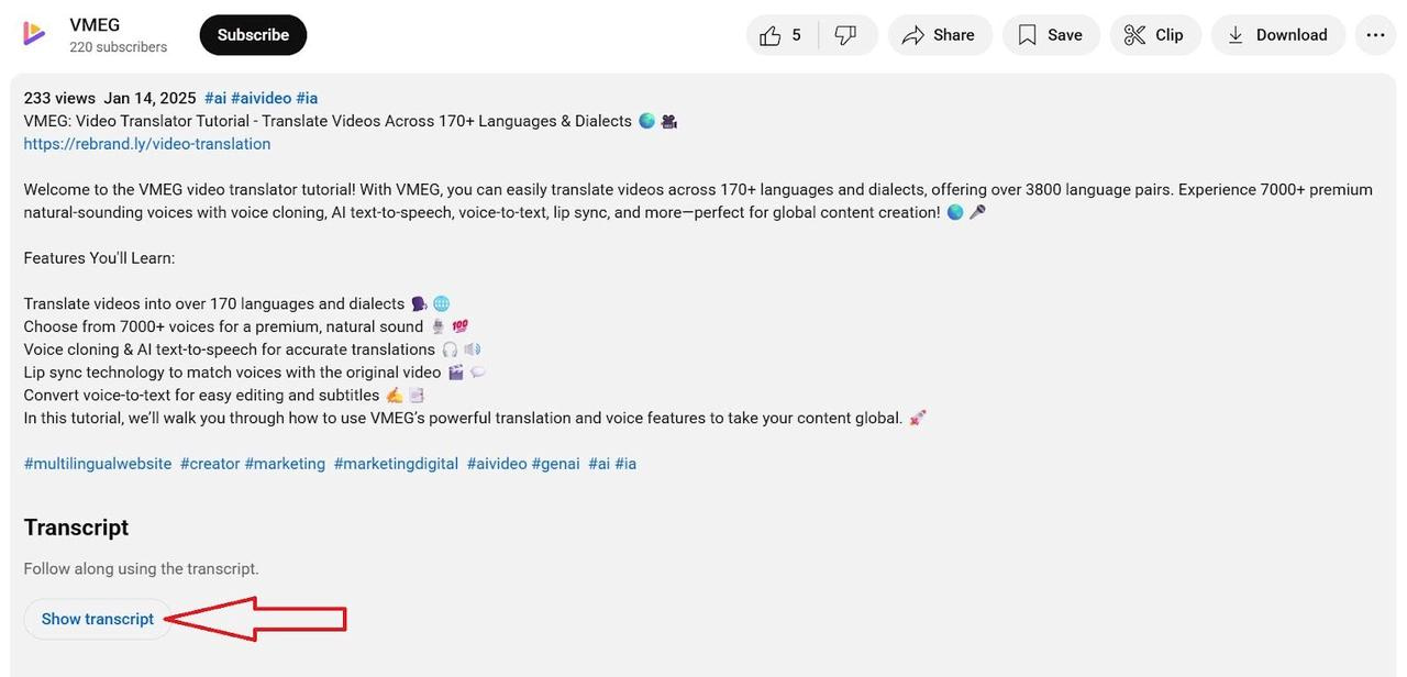 Click Show Transcript to Get Subtitles of the Video