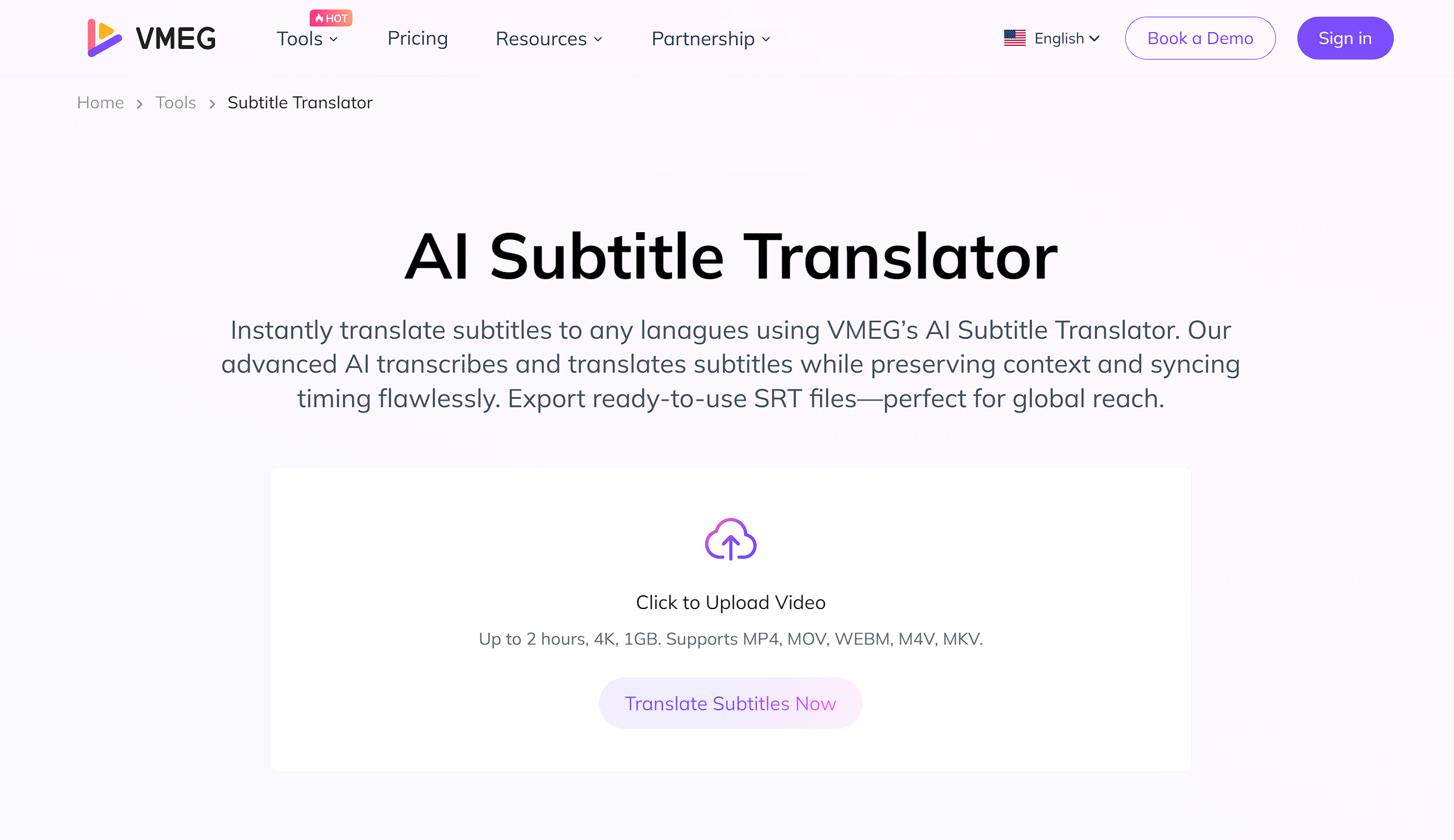 VMEG AI Subtitles Translator