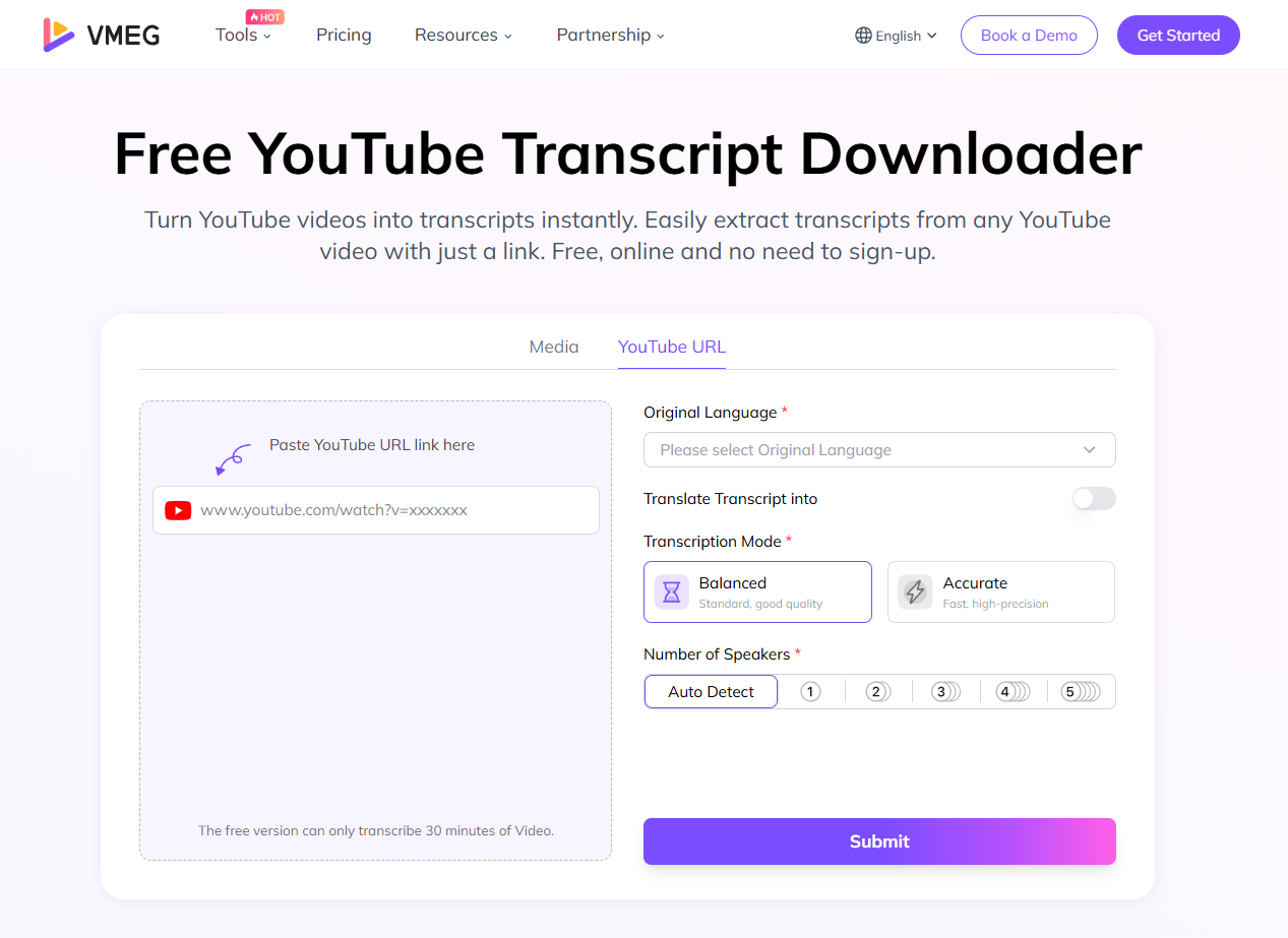free youtube transcript downloader