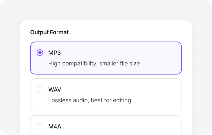 Choose MP3 or WAV output format for MP4 conversion illustration